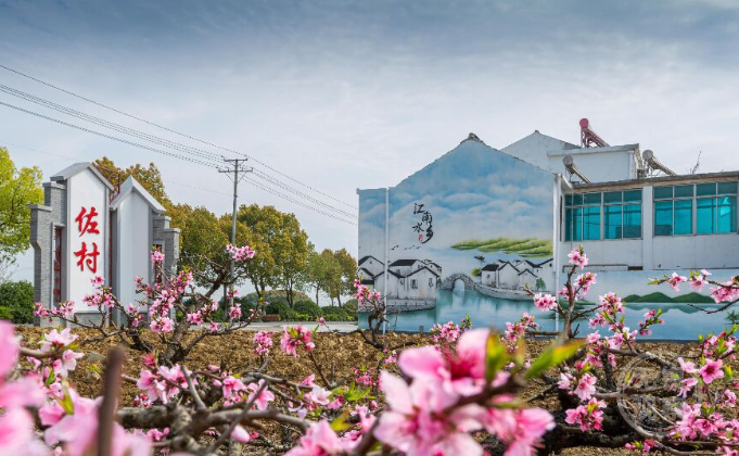 詩意鄉村“錫”居地這樣建！無錫農村人居環境整治省內率先