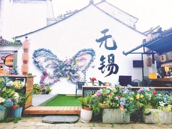 “植物+藝術涂鴉”成錫城熱門打卡地