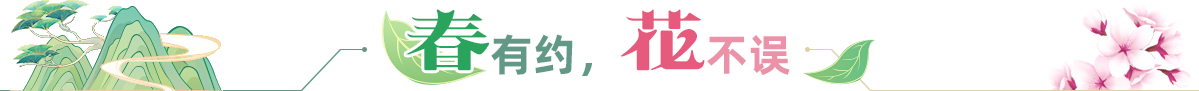 春有約，花不誤